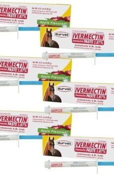 Durvet Ivermectin Paste Dewormer – 6.08g Dose @ 1.87% Apple Flavor (6-Pack)